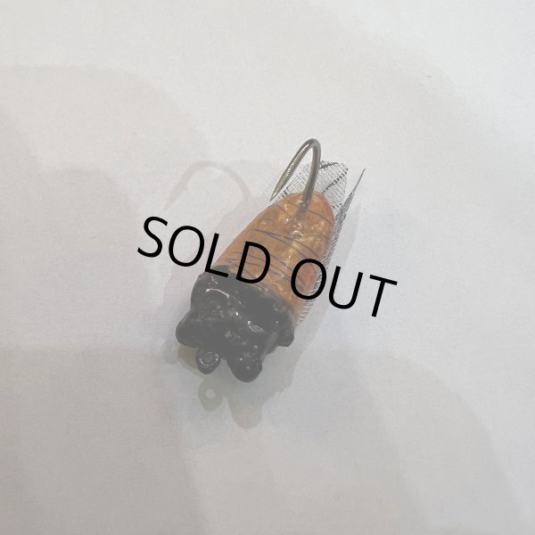 画像3: ハルゼミ ドライフライ #6 (3)