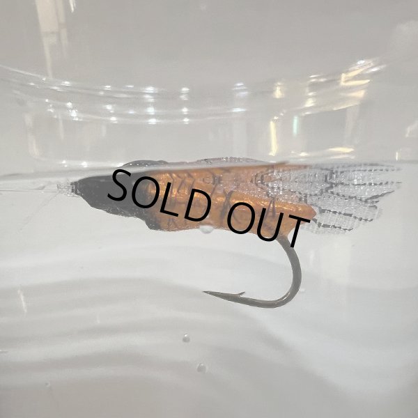 画像5: ハルゼミ ドライフライ #6 (5)