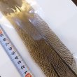 画像5: 【CANAL】Speckled Pheasant Tail (5)