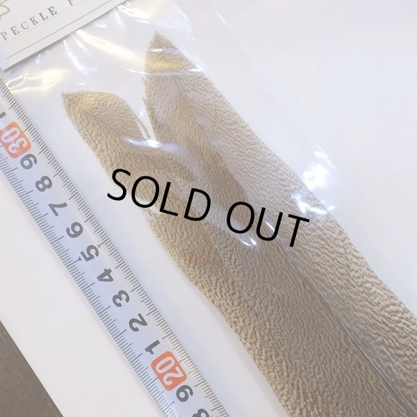 画像6: 【CANAL】Speckled Pheasant Tail (6)