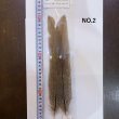 画像4: 【CANAL】Speckled Pheasant Tail (4)