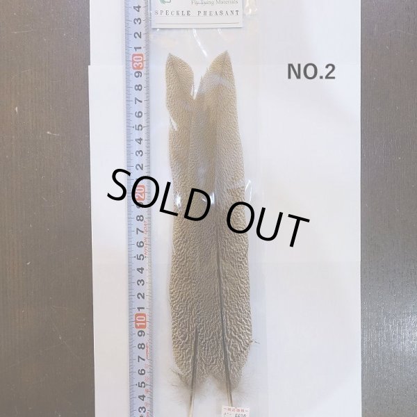 画像4: 【CANAL】Speckled Pheasant Tail (4)