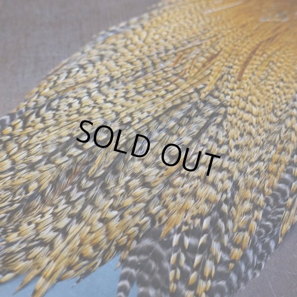 画像4: 【METZ】コックハックル ネック BDバリアント #3  (4)