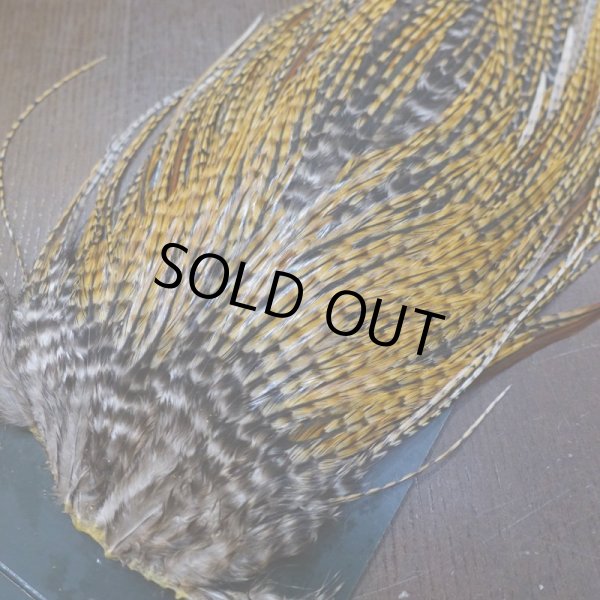 画像4: 【METZ】コックハックル サドル BDバリアント #2 (4)