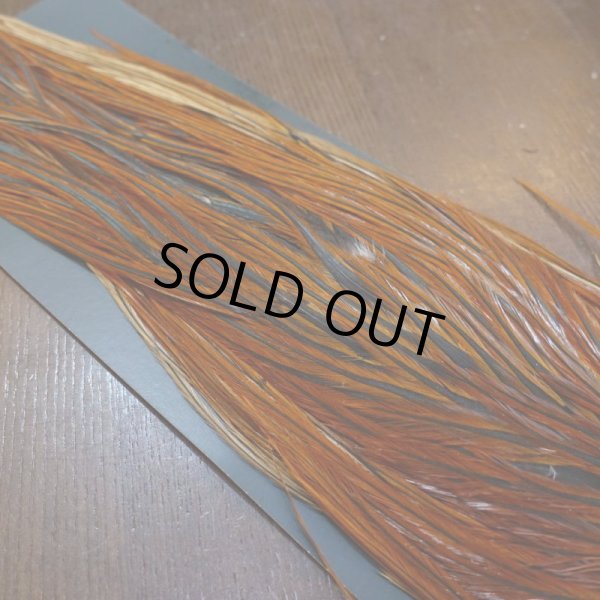 画像4: 【METZ】コックハックル サドル ブラウン #2 (4)