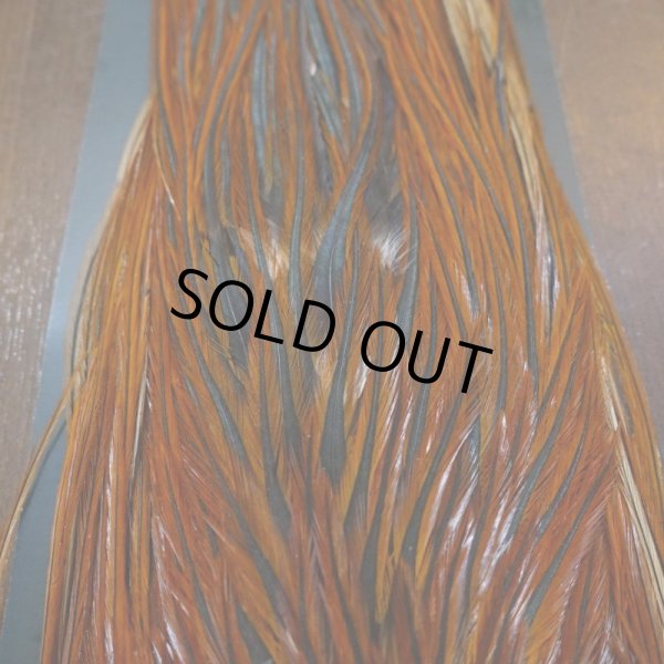 画像5: 【METZ】コックハックル サドル ブラウン #2 (5)