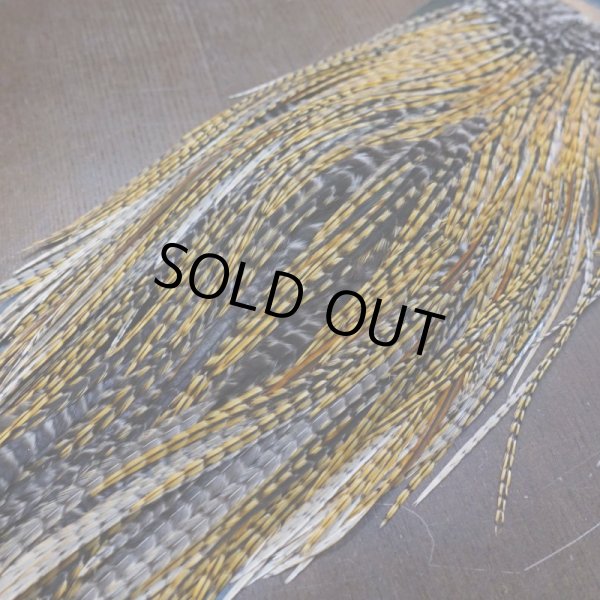 画像6: 【METZ】コックハックル サドル BDバリアント #2 (6)