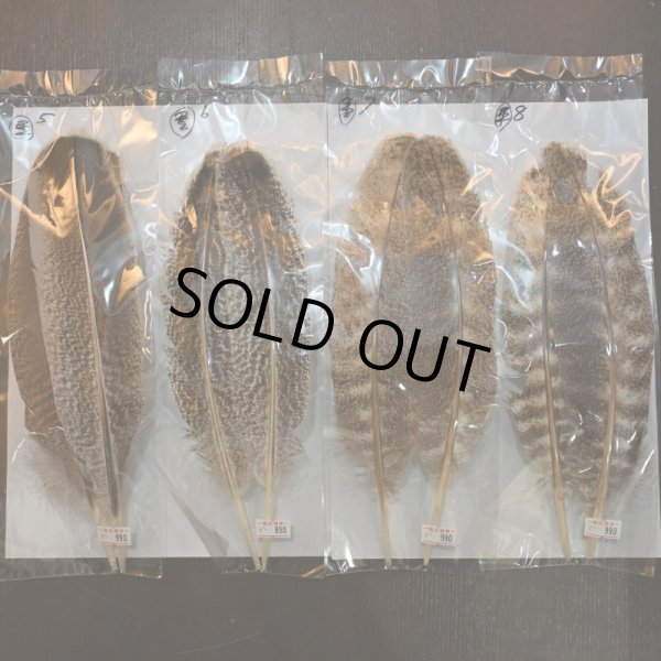 画像2: 【CANAL】ターキークイル(特価) (2)