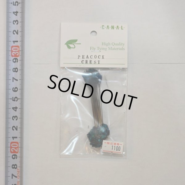 画像1: 【CANAL】Peacock Crest (1)