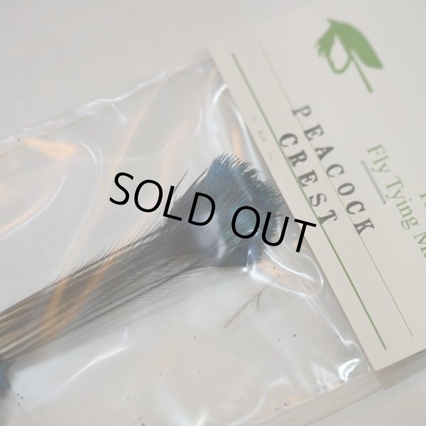 画像2: 【CANAL】Peacock Crest (2)