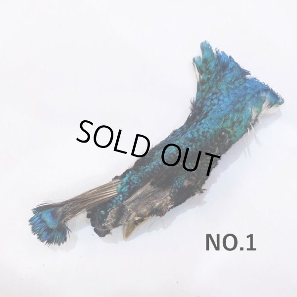 画像1: 【CANAL】 Peacock Head (1)