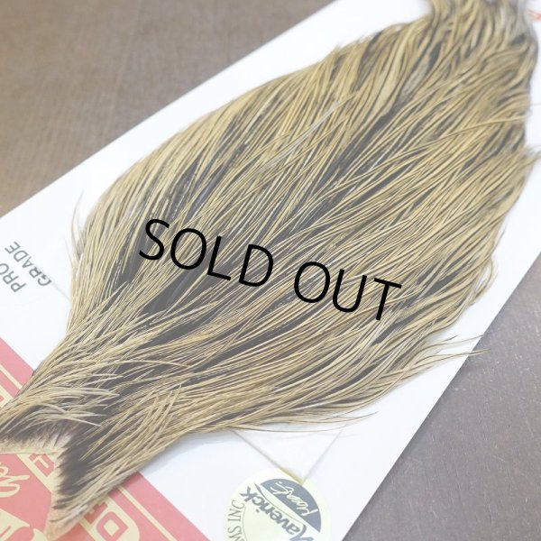 画像3: 【WHITING】ROOSTER Cape Pro Grade - Golden Badger No.1 (3)