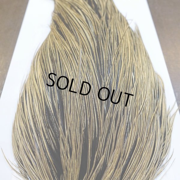 画像6: 【WHITING】ROOSTER Cape Pro Grade - Golden Badger No.1 (6)