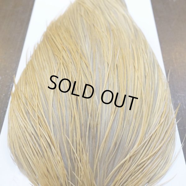 画像6: 【WHITING】Hebert ROOSTER CAPE Bronze Grade - Light Ginger No.1 (6)