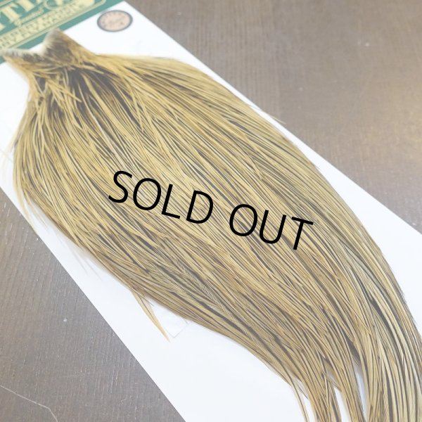 画像2: 【Whiting】Hebert ROOSTER CAPE Bronze Grade - GOLDEN BADGER No.2 (2)