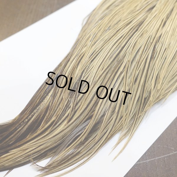 画像5: 【Whiting】Hebert ROOSTER CAPE Bronze Grade - GOLDEN BADGER No.1 (5)