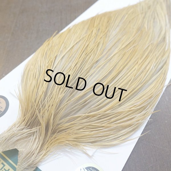 画像3: 【WHITING】Hebert ROOSTER CAPE Bronze Grade - Light Ginger No.1 (3)