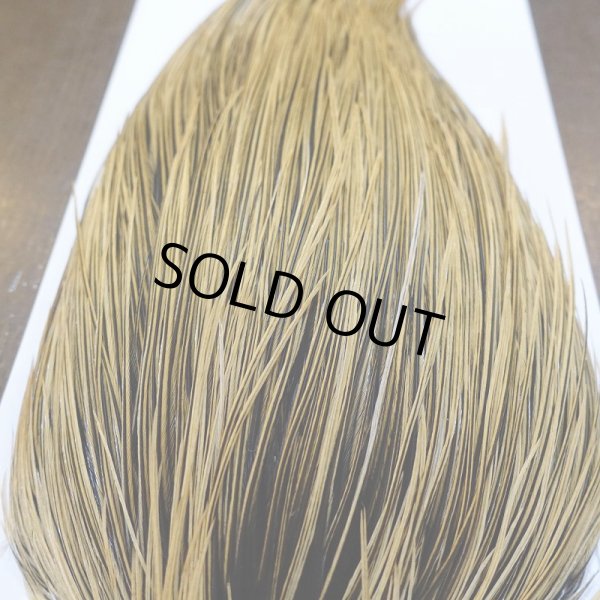 画像5: 【Whiting】Hebert ROOSTER CAPE Bronze Grade - GOLDEN BADGER No.2 (5)