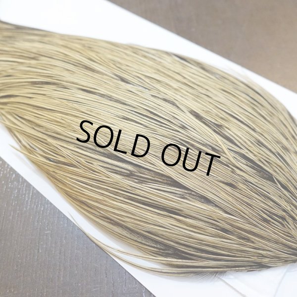 画像4: 【Whiting】Hebert ROOSTER CAPE Bronze Grade - GOLDEN BADGER No.1 (4)