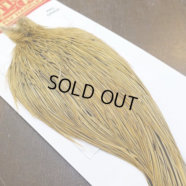 画像2: 【WHITING】ROOSTER Cape Pro Grade - Golden Badger No.2 (2)