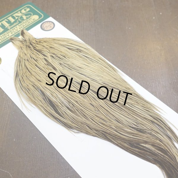 画像2: 【Whiting】Hebert ROOSTER CAPE Bronze Grade - GOLDEN BADGER No.1 (2)