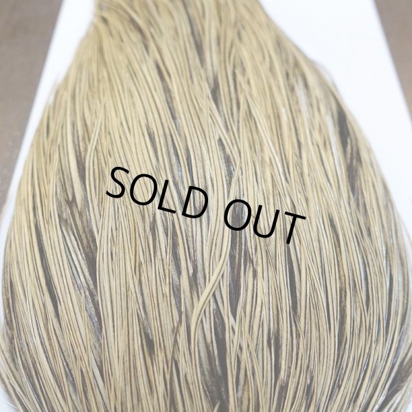 画像6: 【Whiting】Hebert ROOSTER CAPE Bronze Grade - GOLDEN BADGER No.1 (6)