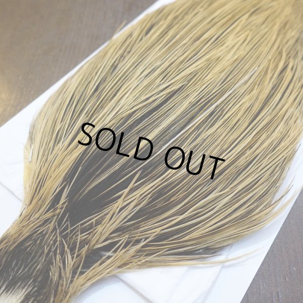 画像3: 【Whiting】Hebert ROOSTER CAPE Bronze Grade - GOLDEN BADGER No.2 (3)