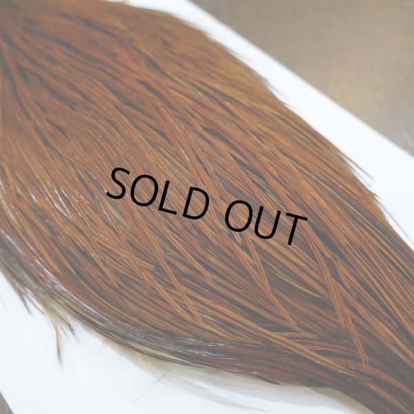 画像2: 【WHITING】Hebert ROOSTER CAPE PRO grade - Furnace No.1 (2)