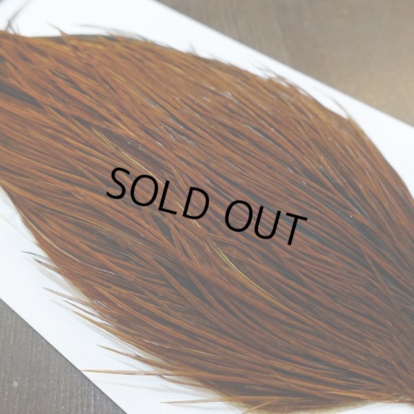 画像4: 【WHITING】Hebert ROOSTER CAPE PRO grade - Furnace No.1 (4)