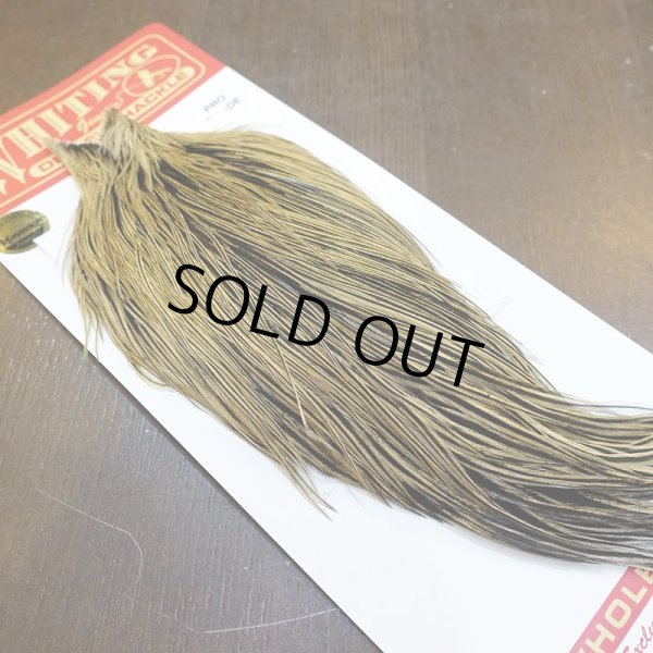 画像2: 【WHITING】ROOSTER Cape Pro Grade - Golden Badger No.1 (2)