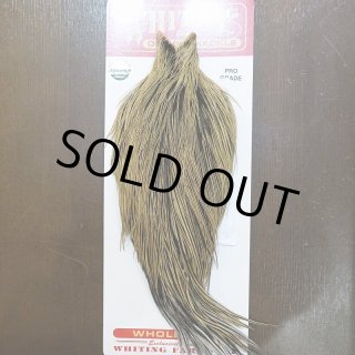 ゴールデンバジャー WHITING Bronze Golden Badger ゴールデンバジャー WHITING Bronze Golden Badger GOLDEN