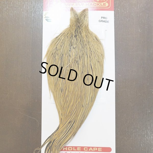 画像1: 【WHITING】ROOSTER Cape Pro Grade - Golden Badger No.2 (1)