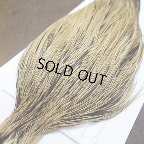 画像3: 【Whiting】Hebert ROOSTER CAPE Bronze Grade - GOLDEN BADGER No.1 (3)