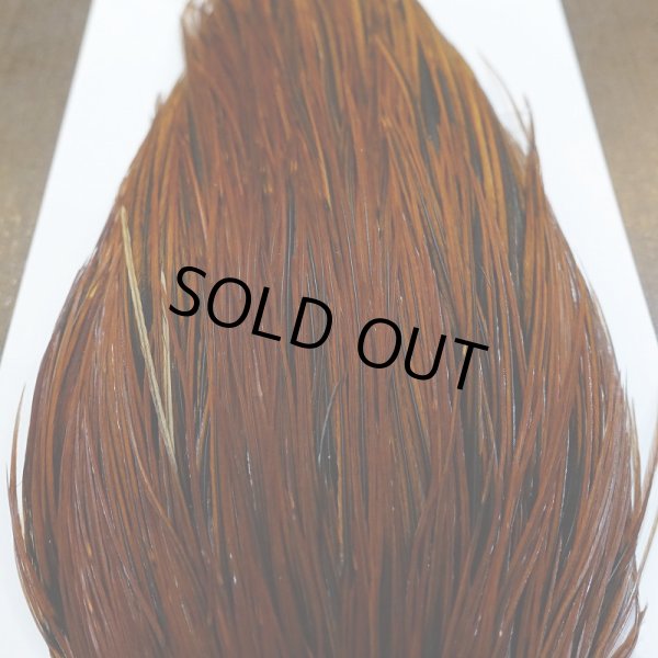 画像5: 【WHITING】Hebert ROOSTER CAPE PRO grade - Furnace No.3 (5)