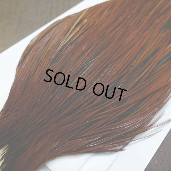 画像3: 【WHITING】Hebert ROOSTER CAPE PRO grade - Furnace No.3 (3)