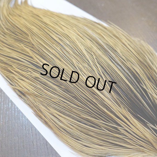 画像4: 【Whiting】Hebert ROOSTER CAPE Bronze Grade - GOLDEN BADGER No.2 (4)