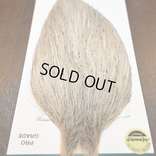 画像5: 【WHITING】Hebert ROOSTER CAPE PRO Grade - LIGHT GREY DUN (5)