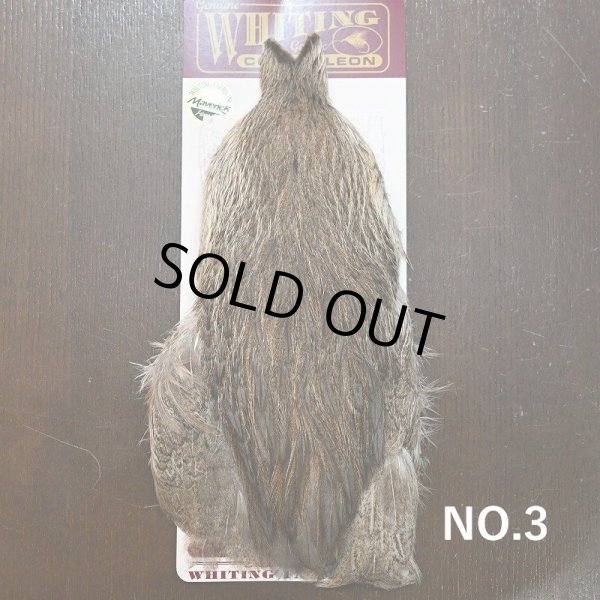 画像3: 【WHITING】Coq de Leon Hen Cape - Unique Variant (3)