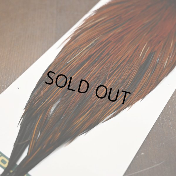 画像5: 【WHITING】Hebert ROOSTER CAPE PRO grade - Furnace No.4 (5)