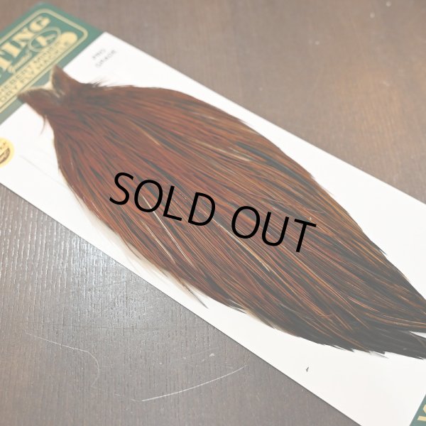 画像2: 【WHITING】Hebert ROOSTER CAPE PRO grade - Furnace No.4 (2)