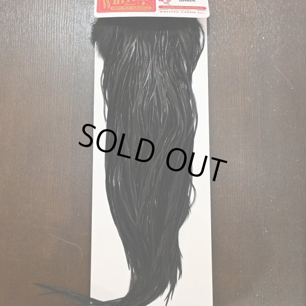 画像1: 【WHITING】ROOSTER SADDLE PRO Grade - Black No.1 #14 (1)