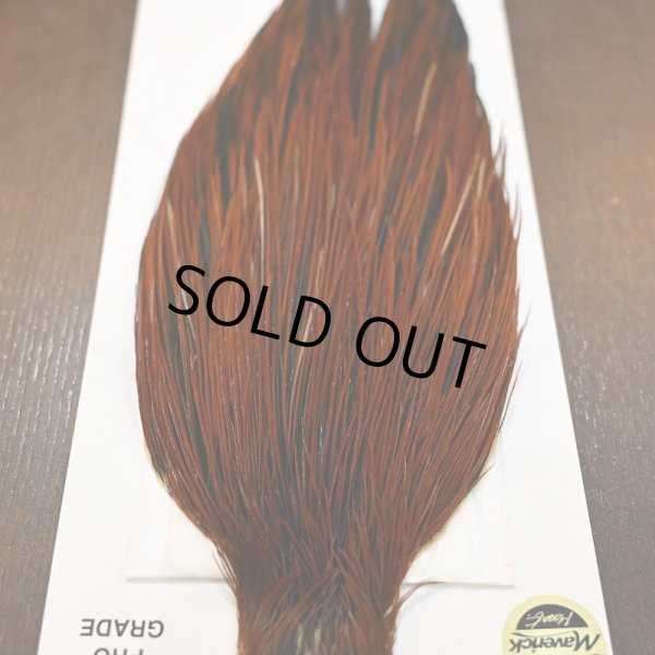 画像6: 【WHITING】Hebert ROOSTER CAPE PRO grade - Furnace No.4 (6)