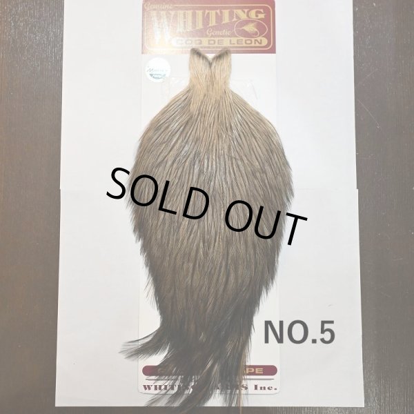 画像5: 【WHITING】Coq de Leon ROOSTER CAPE - Speckled Badger (5)