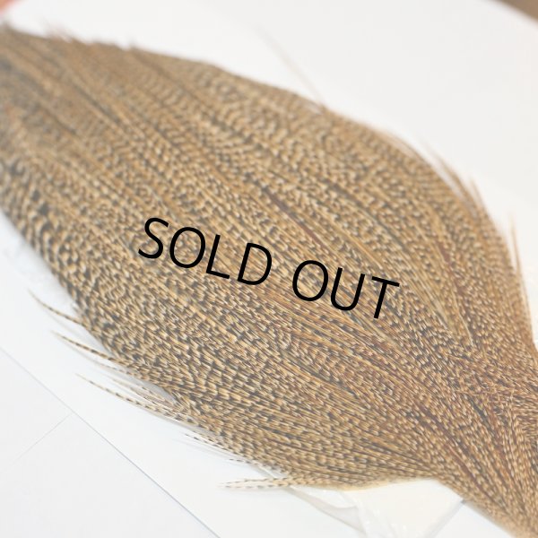 画像5: 【Whiting】ROOSTER CAPE Silver Grade - CREE (5)