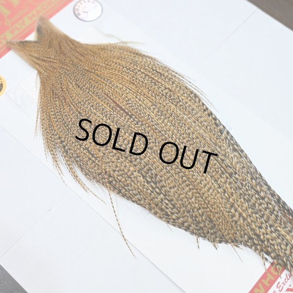 画像2: 【Whiting】ROOSTER CAPE Silver Grade - CREE (2)