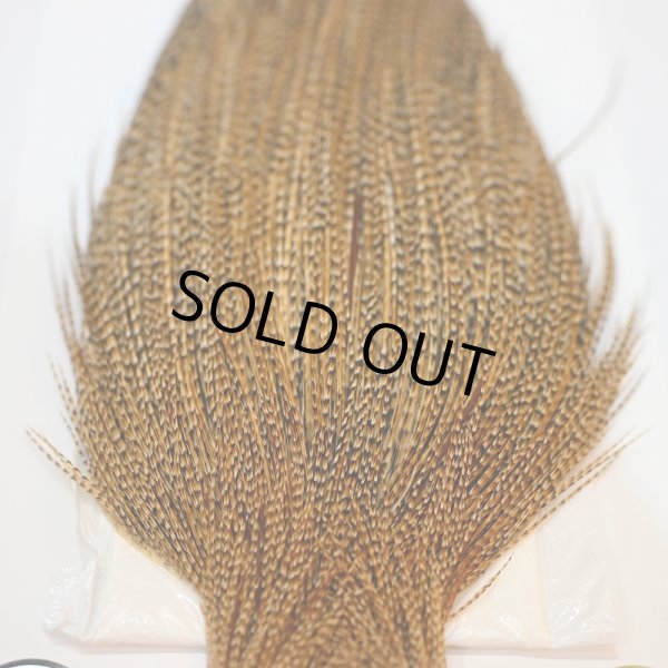 画像4: 【Whiting】ROOSTER CAPE Silver Grade - CREE (4)