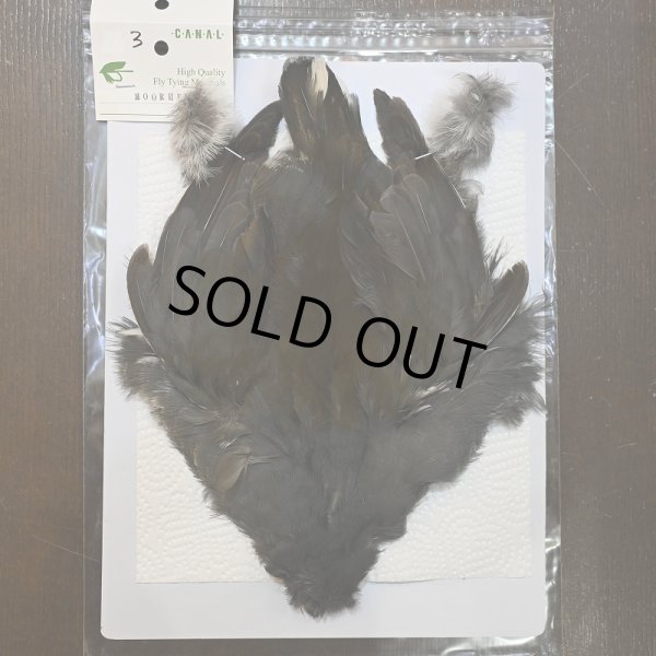 画像1: 【CANAL】MOORHEN コンプリート No.3 (1)