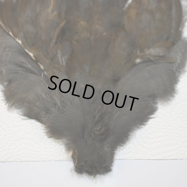 画像4: 【CANAL】MOORHEN コンプリート No.3 (4)