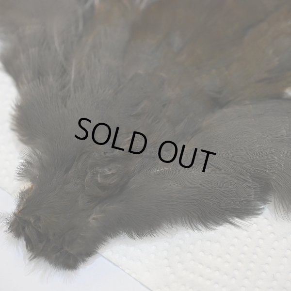 画像2: 【CANAL】MOORHEN コンプリート No.3 (2)