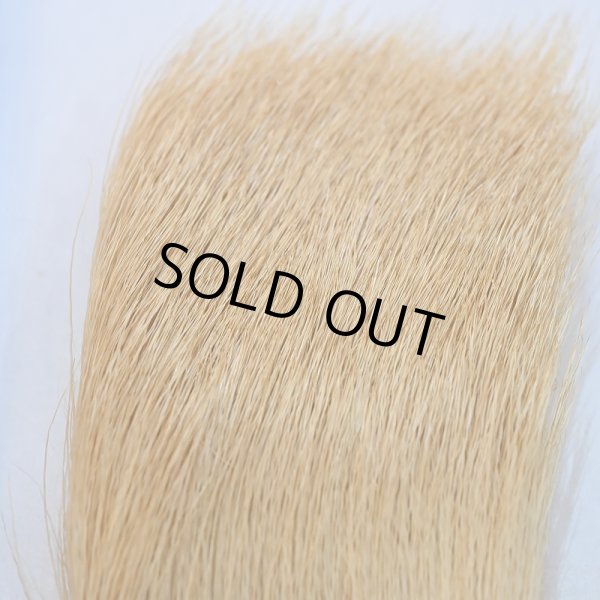 画像2: 【ANGLE】エルクヘア(ブリーチ) (2)